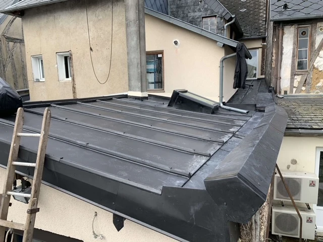 Terrasson zinc noir autin couverture